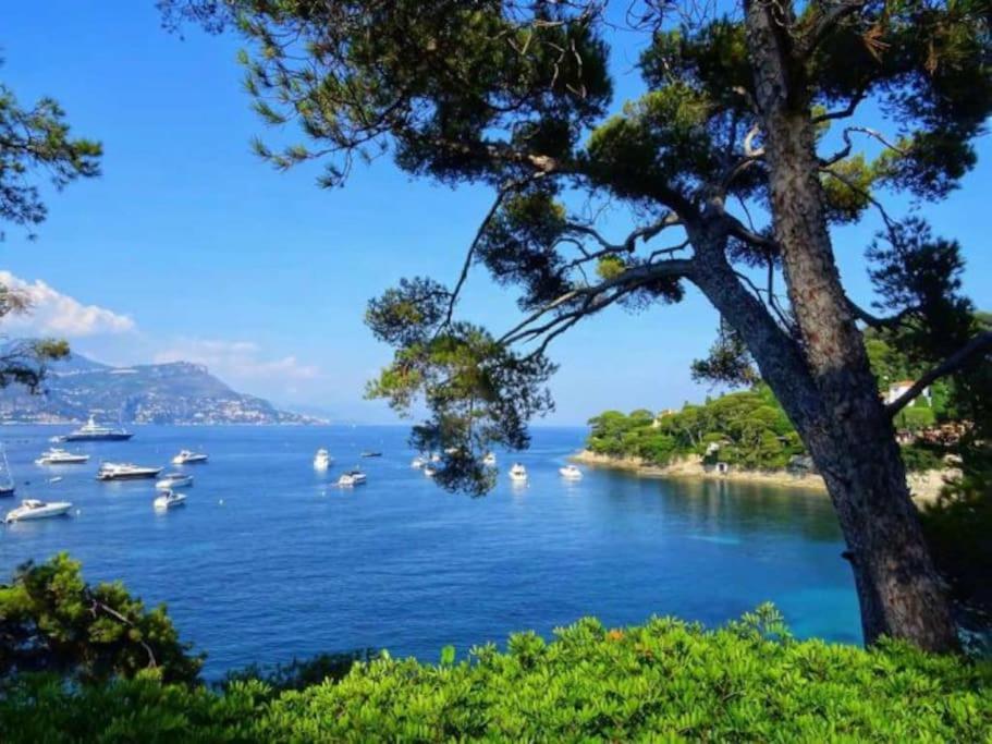 2P Neuf Au Coeur De St Jean Cap Ferrat Leilighet Saint-Jean-Cap-Ferrat Eksteriør bilde